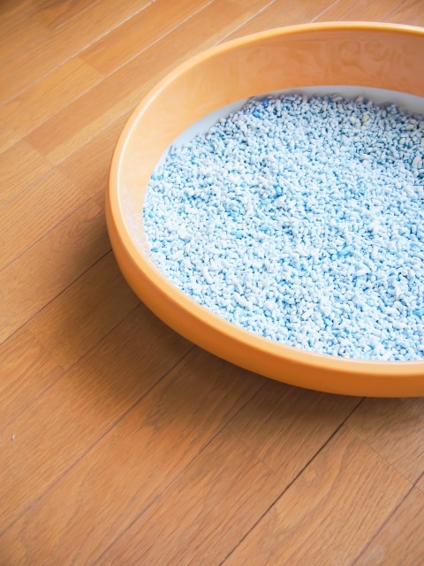 猫トイレ