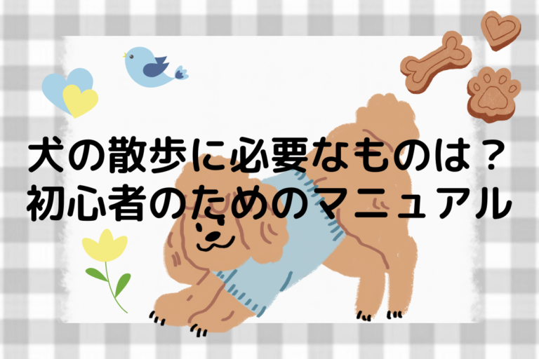 犬の散歩に必要なものは？初心者のためのマニュアル